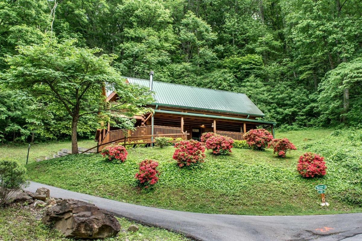 Mountain Dreams #24 Villa Sevierville Exterior photo